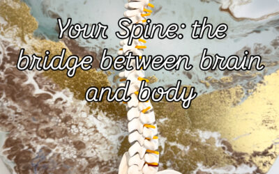 What Makes Spinal Flow Different?